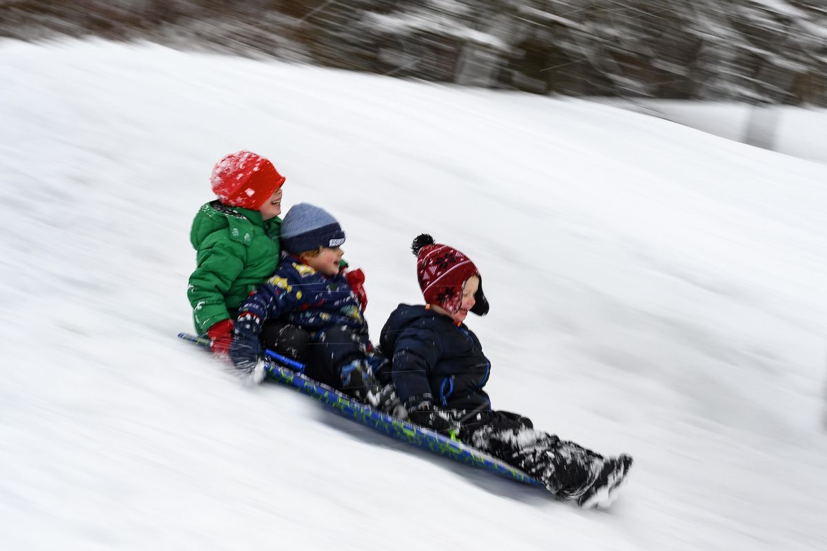 Left to right, Henry Betts, 8, Charlie Betts, 4, and Brody Theriault, 4, head down the sledding hill at Cannon Hill Park, Mon., Feb. 12, 2019. (Colin Mulvany / The Spokesman-Review)