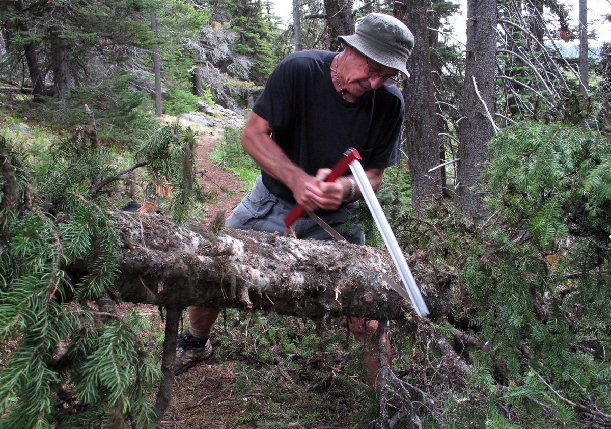 Leif Jakobsen of Colville uses a pack saw to clear a blowdown during a dayhike on the Kettle Crest Trail north of Sherman Pass. (Rich Landers / The Spokesman-Review)