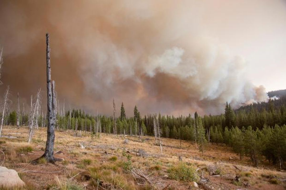 Pioneer Fire still burning, but growth slowed by cooler temps and a ...