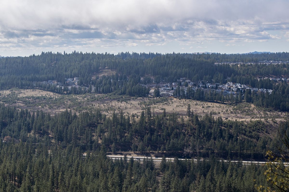 Developer Harley Douglass has applied for a zoning change on land seen here on a short bluff above U.S. 195 and downhill from the Eagle Ridge subdivision south of Spokane. Douglass’ plan is for both residential and commercial use.  (Jesse Tinsley/The Spokesman-Review)