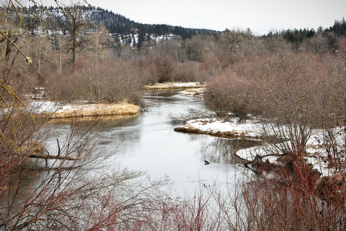 The Little Spokane River lazily makes its way toward Nine Mile Falls on Friday, a few miles northwest of Whitworth University.  (Colin Tiernan/The Spokesman-Review)
