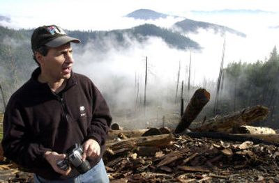 
Dominick DellaSala, a forest ecologist for the World Wildlife Fund, explains on Oct. 29 in Selma, Ore., how salvage logging has removed some of the large dead trees from the area of the Siskiyou National Forest burned by the 2002 Biscuit fire, eliminating building blocks for regenerating a healthy new forest. 
 (Associated Press / The Spokesman-Review)