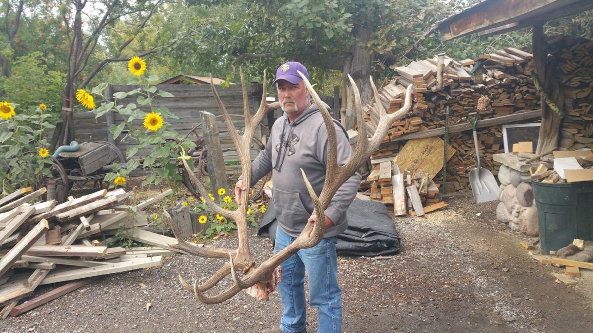 Bowhunter Steve Felix with antlers from a bull elk he killed in Montana in September 2016, later scored at 430 inches for a Montana state record and potential world record for archery.   (Boone and Crockett Club courtesy photo)