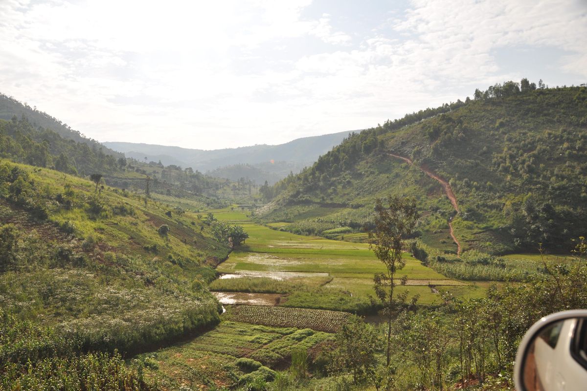 4H food garden techniques taking hold in Burundi | The Spokesman-Review