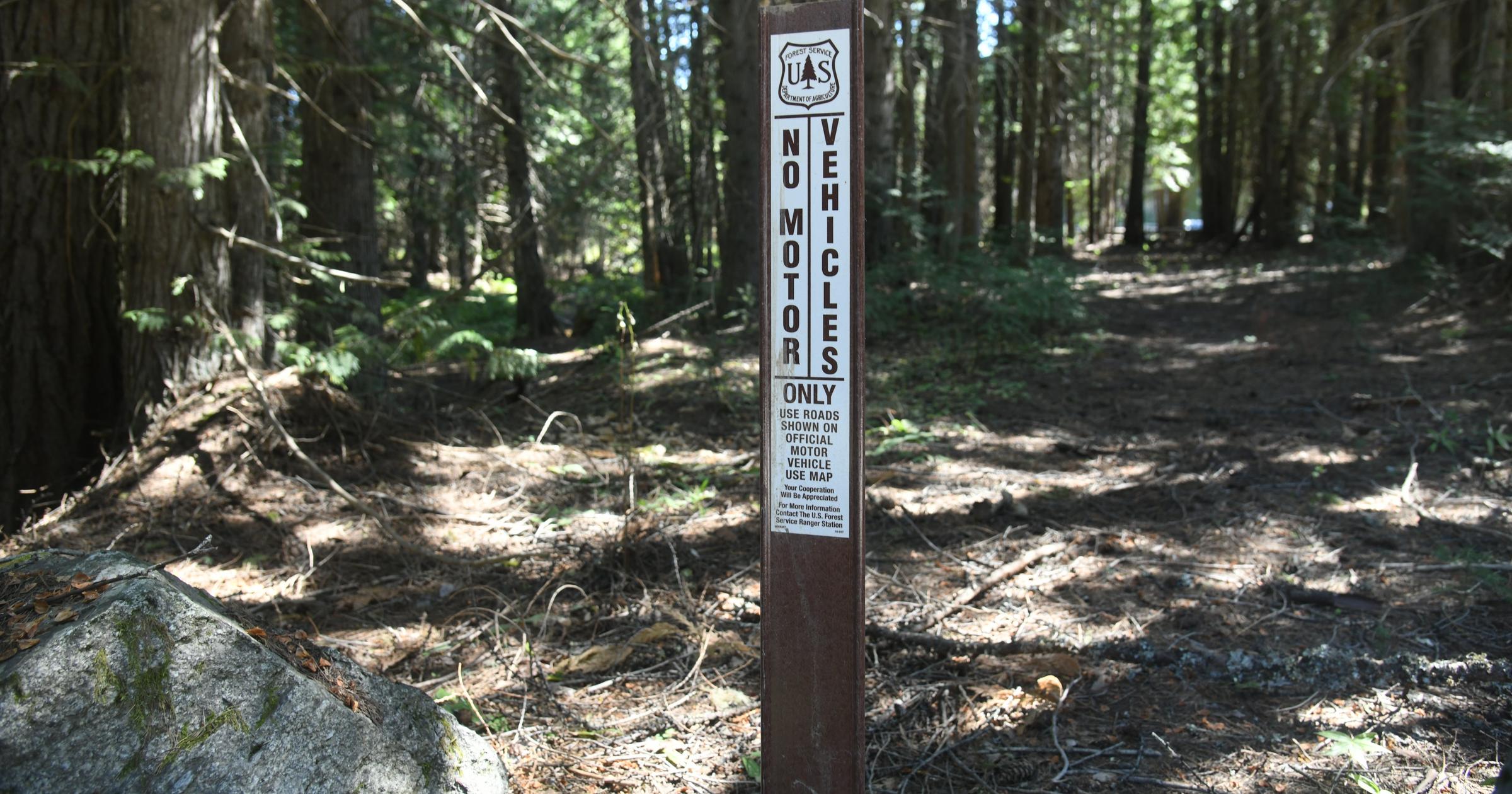 U.S. Forest Service eyes revision of rule governing motorized use