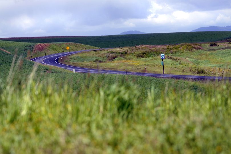 Washington state governor Chris Gregoire has declared Highway 27 from Tekoa to Rockford a Scenic Byway. This picture was taken south of Fairfield, looking north. (J. Bart Rayniak)