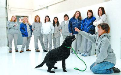 
Trainer Lisa Lucas shows federal inmates at Geiger Corrections Center how to make a dog  from SCRAPS sit on Wednesday. 
 (photos by DAN PELLE / The Spokesman-Review)