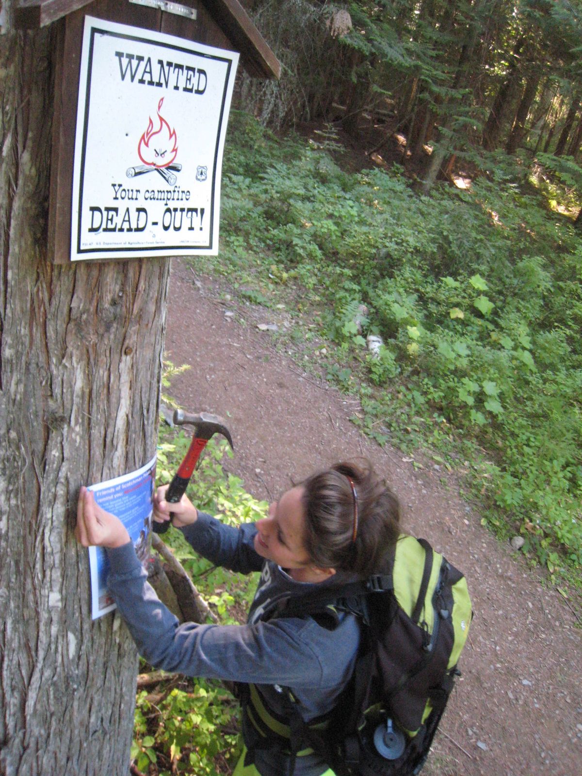 Gonzaga University student Molly Sullivan Roberge puts up an FSPW goat poster at the Scotchman Peak Trail #65 over the Labor Day weekend. 
 (Friends of the Scotchman Peaks Wilderness)