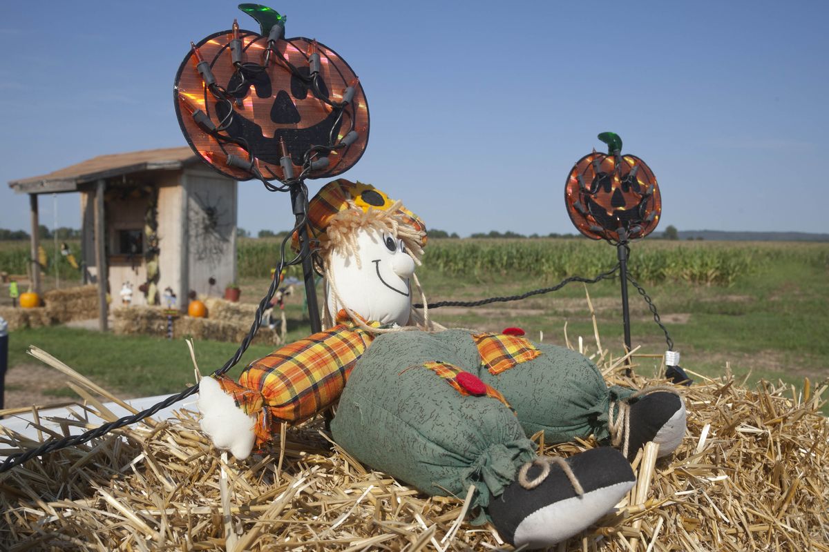 In this photo taken Tuesday, Oct. 2, 2012, a fall seasonal display sits on a hay bale at the Schaefers family corn maze near Mayflower, Ark. Devastating spring freezes and this year