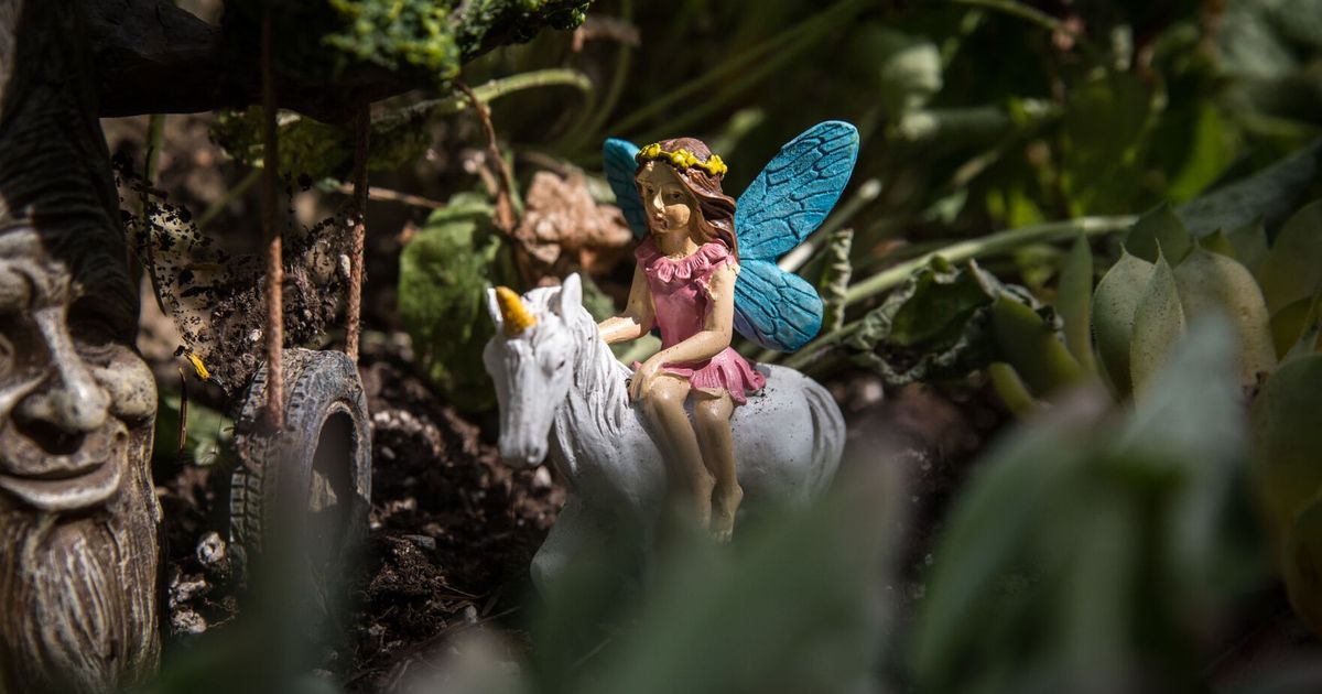 Fairies for Fairy Garden - Boy Fairies Figurines - Boy Fairies for Outdoor  Miniature Fairy Garden - Fishing Garden Fairies, 2 Pieces