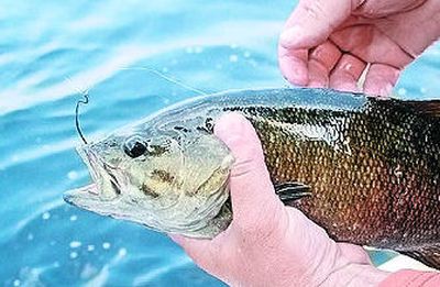 
Catch bass, not balls, in a fast-growing college sport.
 (File Associated Press / The Spokesman-Review)