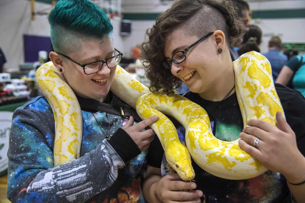 Emily Jones, 26, and Kayla Carter, 25, both of Walla Walla,  make friends with a 15-foot reticulated white face tiger python during the first annual Reptile and Exotic Pet Expo on Saturday at The Warehouse in Spokane. (Dan Pelle / The Spokesman-Review)