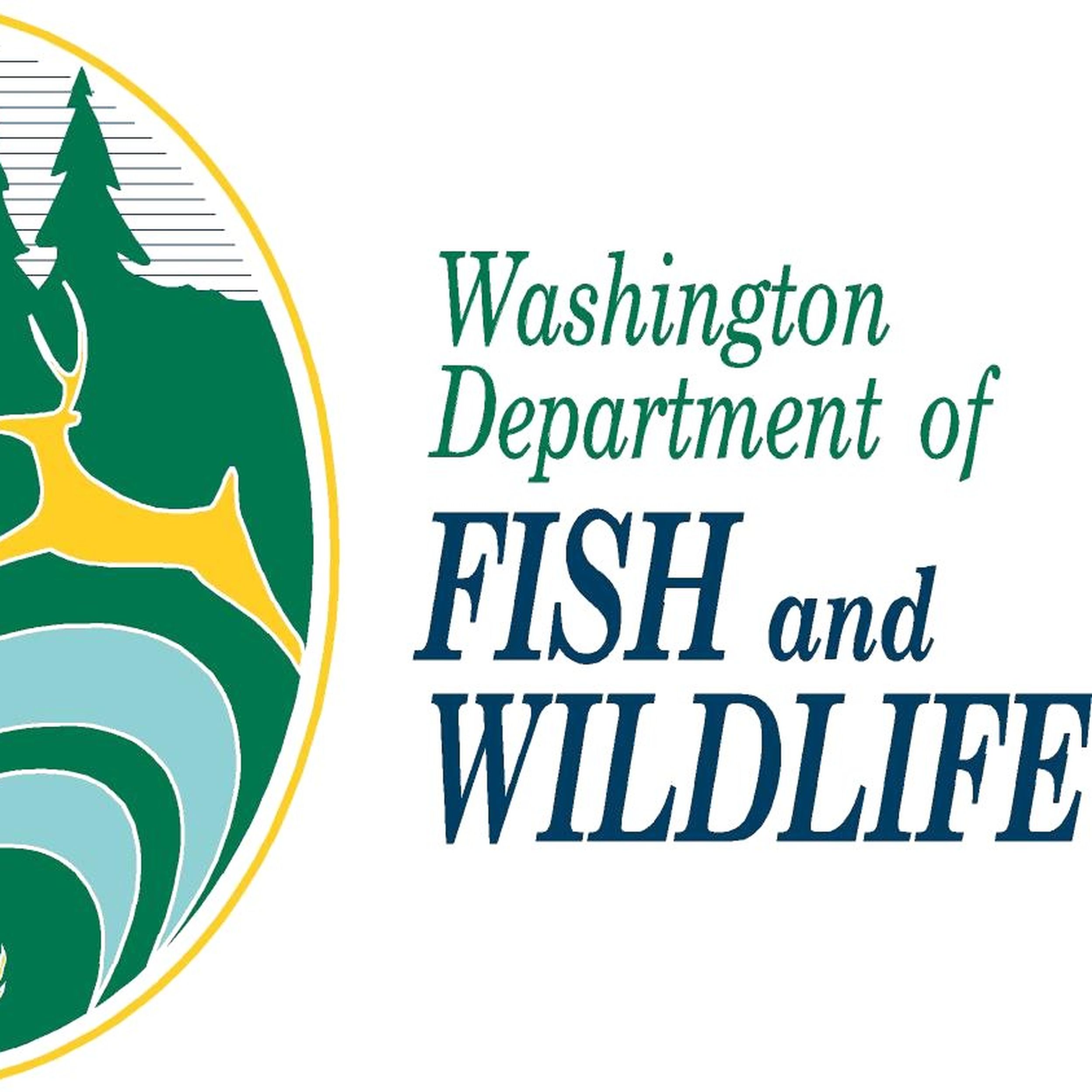 Upcoming vacancies on influential Washington fish and wildlife commission  have opposing coalitions jockeying for influence