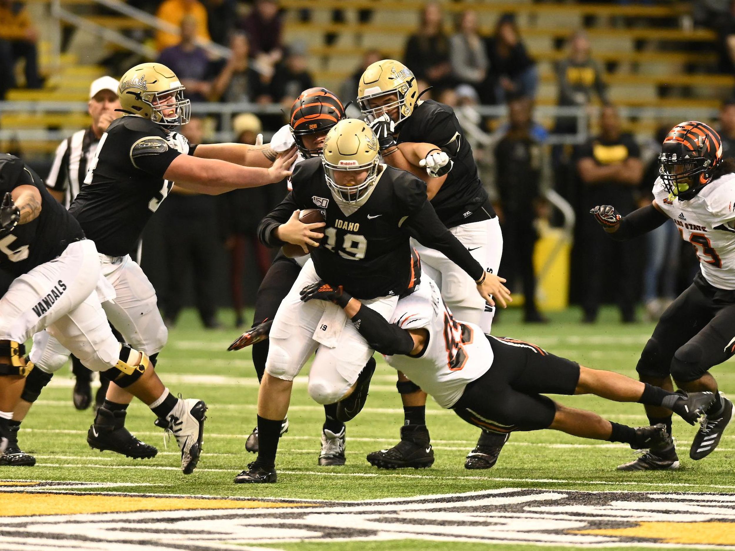 Bengals Open Big Sky Play with Homecoming Win over Bears - Idaho State  University Athletics