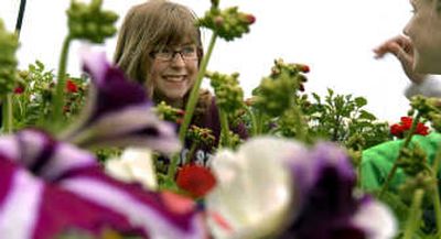 
Hayden Meadows Elementary School fourth-grader's Laikyn Mohler, center, and Sarah Kladar work in the greenhouse at the school on Wednesday. 
 (Kathy Plonka / The Spokesman-Review)