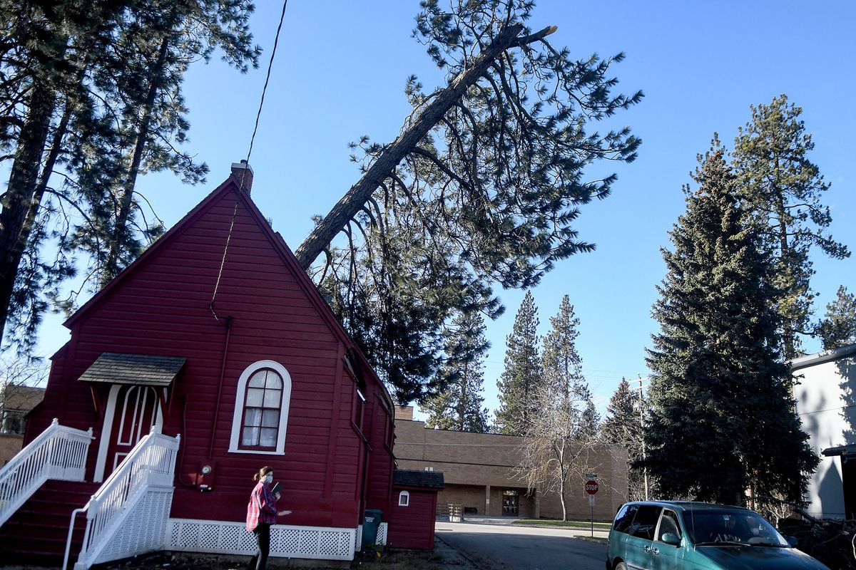 “This place is near and dear to our hearts,” said Kate Dolan as she walks past the tree leaning on the roof of Fort Sherman Chapel in Coeur d’Alene during the wind storm on Wednesday, Jan. 13, 2021. The chapel was built in 1880 by the U.S. Army.  (Kathy Plonka/The Spokesman-Review)