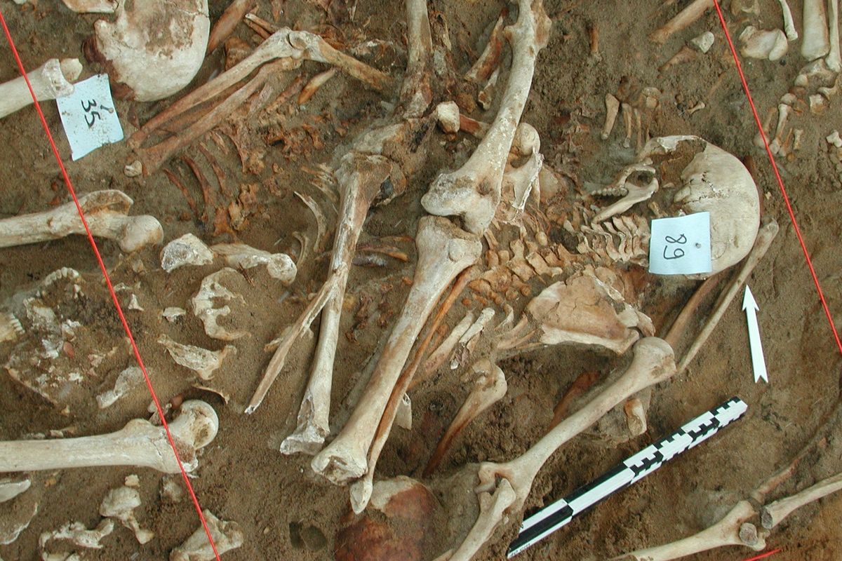 A close-up of a section of the pit during excavation. MUST CREDIT: M. Signoli/Aix-Marseille University/EFS (M. Signoli/Aix-Marseille University/EFS)