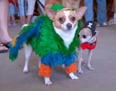 
A pair of tiny entrants in the 2007 Spokane Pet Fest  costume contest.Courtesy of Pet Fest
 (Courtesy of Pet Fest / The Spokesman-Review)