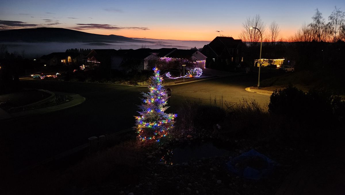Albert, a 12-foot decorated tree in Lynn Ate and David Ackley’s back yard, was stolen. The thief took the top half of Albert, leaving the bottom half.  (Courtesy David Ackley)