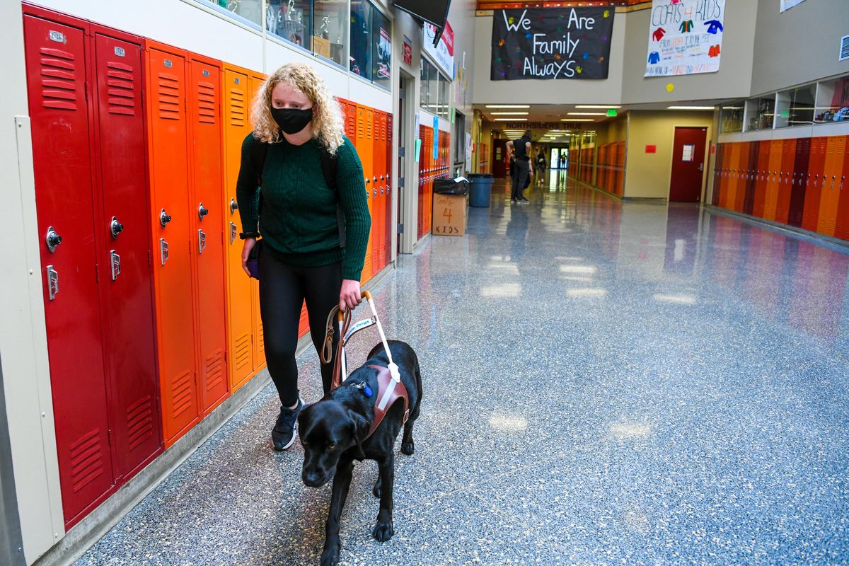 Alaina Gott, a 15-year-old at North Central High School, previously had to negotiate new boundaries with a white cane, but her guide dog Sable serves more than just a safe way to navigate a school hallway. Her dog also encourages friendly interactions and a sense of independence. "When people see a white cane, people tend to avoid you, but when they see a dog, they