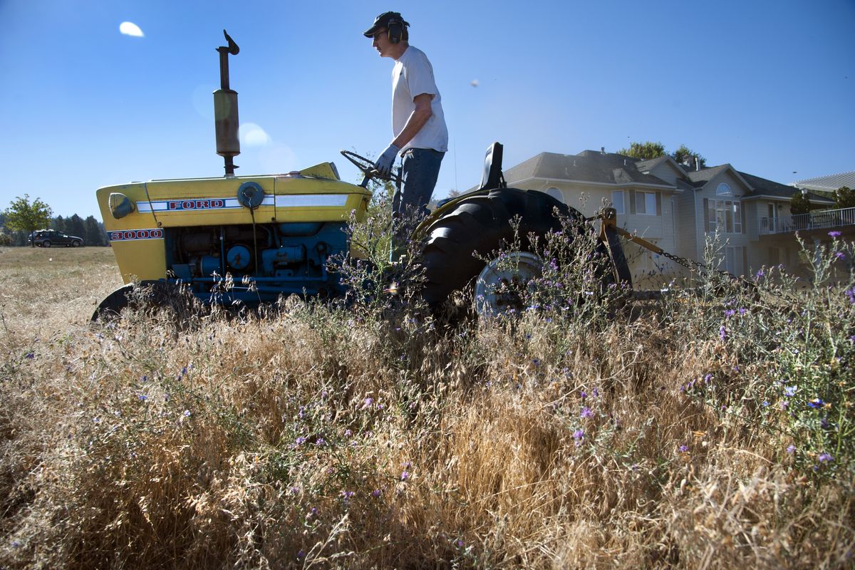 Richard Brooke cuts weeds for defensible space around his Glenrose Prairie home with his 1969 Ford tractor late last month. (Dan Pelle)