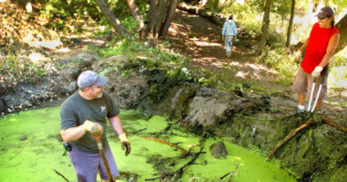 Tribes clean up Drumheller Springs The SpokesmanReview