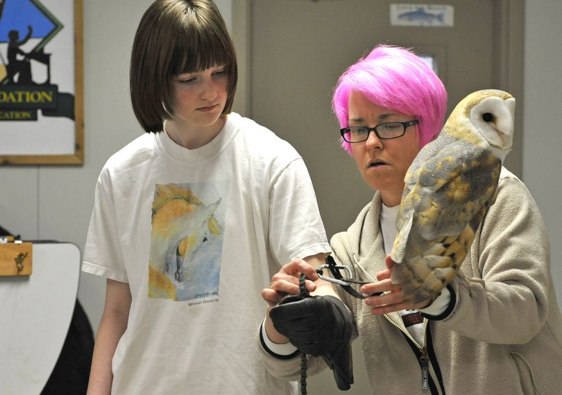 Rina Clark, right, a West Valley Outdoor Learning Center raptor volunteer, introduces Ava McLeod to Willie the barn owl, Friday. (Dan Pelle)