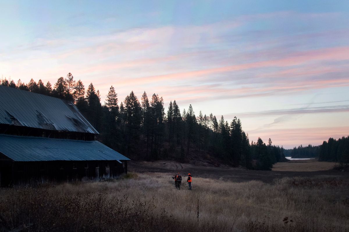 Three hunters confer on a strategy during autumn 2018.  (Eli Francovich/The Spokesman-Review)