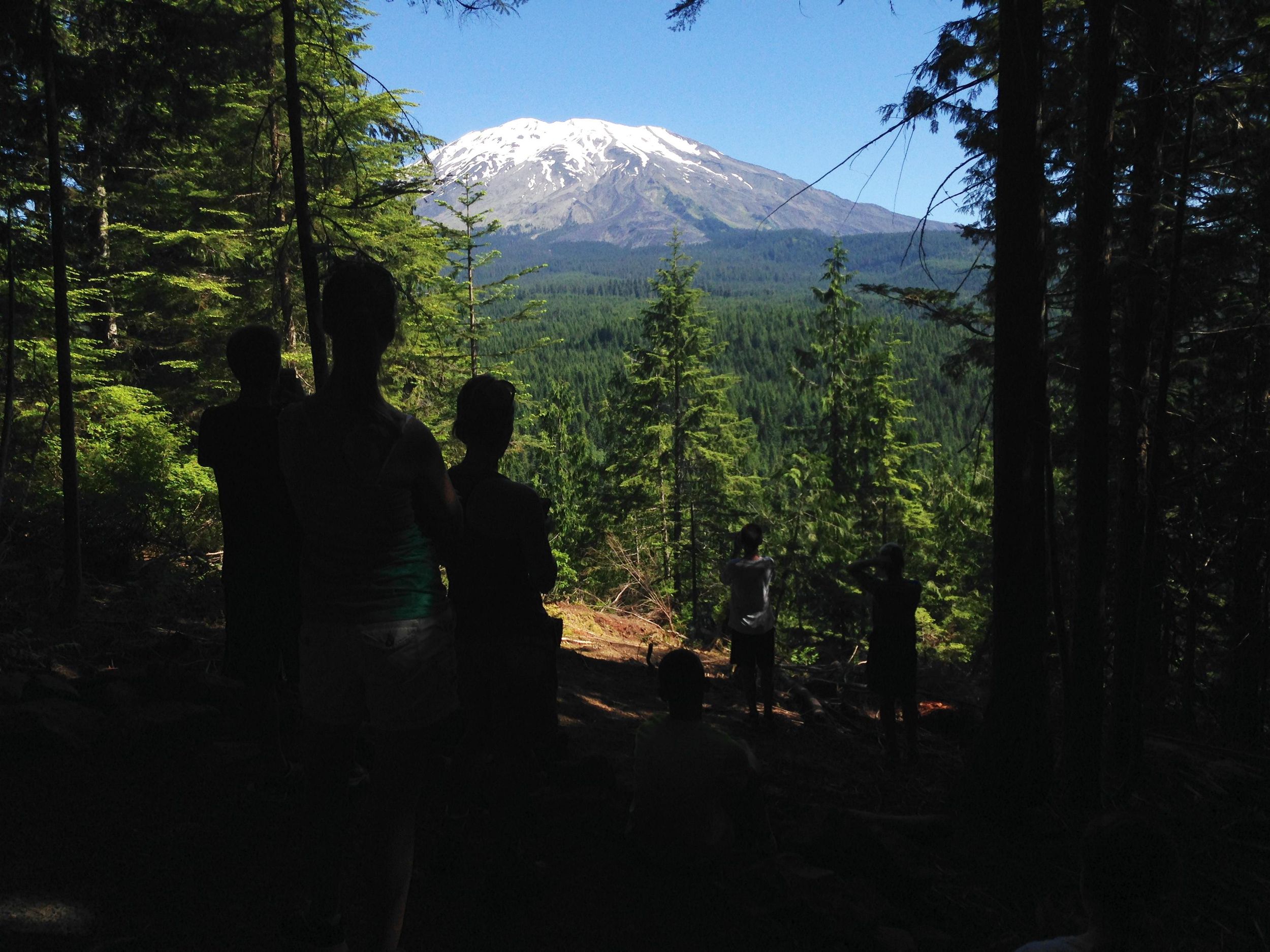 New hiking trail at Mount St. Helens is aptly named Volcano View Trail The SpokesmanReview