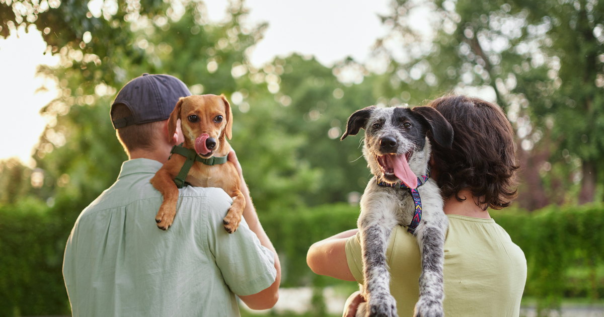 The Benefits of Fostering Pets: Help, Love, and Maybe Even ‘Fail’