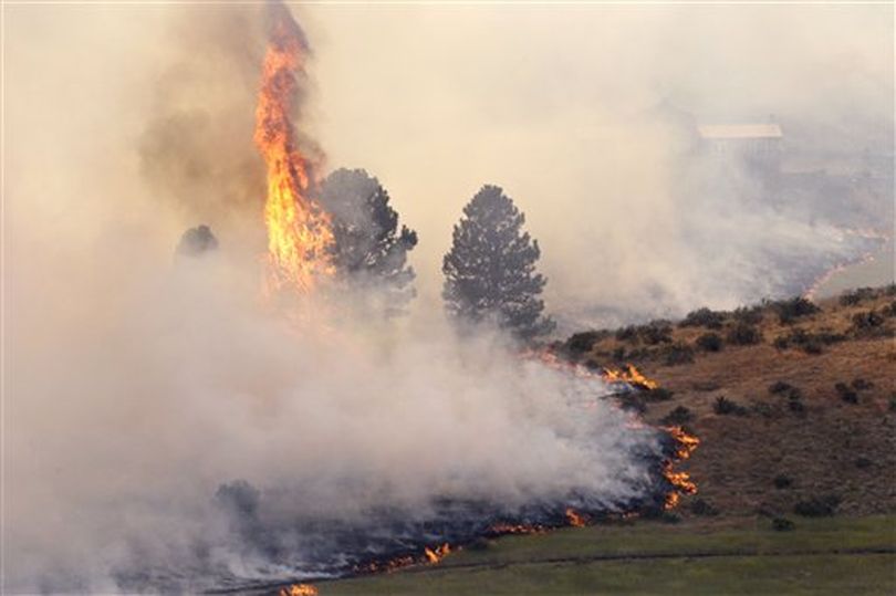 A tree is engulfed in flames as a fire burns the grass ahead Tuesday, Aug. 14, 2012, on Bettas Road near Cle Elum, Wash. The fast-moving wildfire has burned 60 homes across nearly 40 square miles of central Washington grassland, timber and sagebrush. No injuries have been reported but more than 400 people have been forced to flee. (AP / Elaine Thompson)