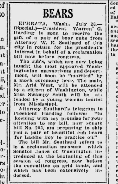 The bear cubs, gifted by attorney W.E. Southard of Ephrata, were intended to sweeten the pot for President Warren G. Harding to support a reclamation/irrigation bill under consideration in the U.S. Senate.  (S-R archives)