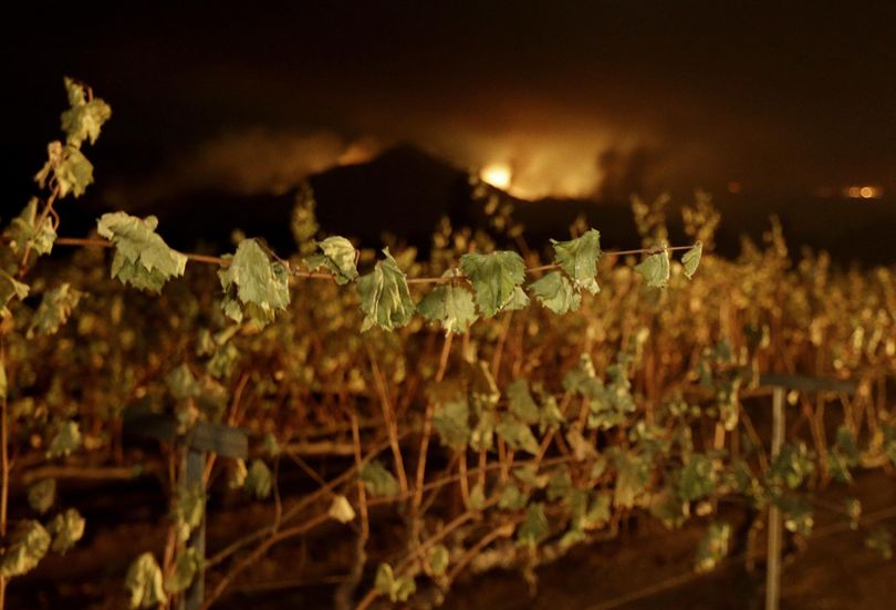 A wildfire from a distant mountain burns over a vineyard in Kenwood, Calif., Tuesday, Oct. 10, 2017. (Jeff Chiu / Associated Press)