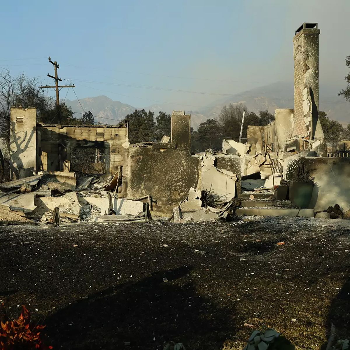 Homes and cars along West Manor Street were destroyed by the Eaton fire in Altadena.   (Allen J. Schaben/Los Angeles Times/TNS)