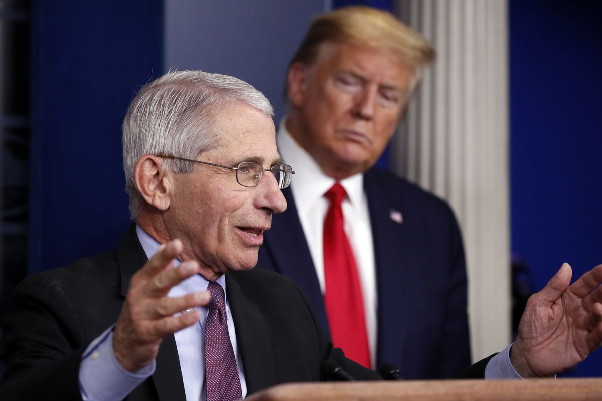 President Donald Trump watches as Dr. Anthony Fauci, director of the National Institute of Allergy and Infectious Diseases, speaks about the coronavirus April 22, 2020, in the James Brady Press Briefing Room of the White House in Washington.  (Alex Brandon)