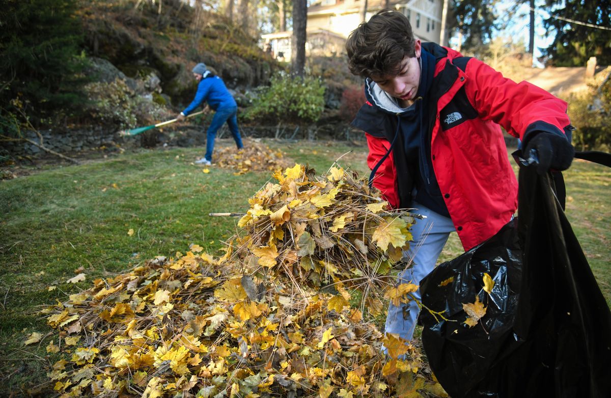 Lewis and Clark High School music program leaf raking - Nov. 2, 2019 ...