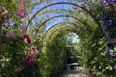
Rick Keyes built an arbor where his wife, Nancy, planted roses and clematis in their front garden.
 (Holly Pickett / The Spokesman-Review)