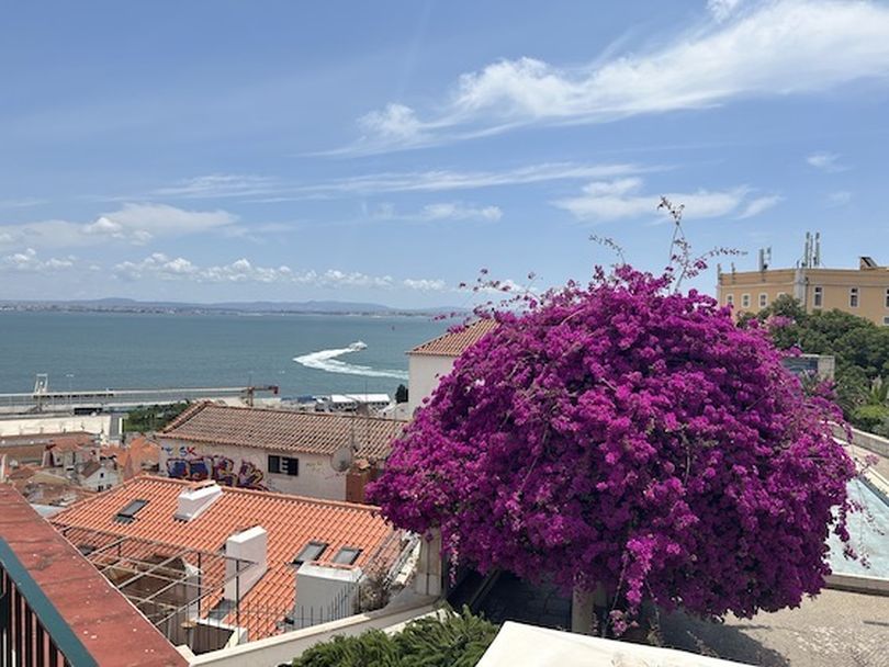 Colors stand out even in a classic European captial such as Lisbon (Dan Webster)