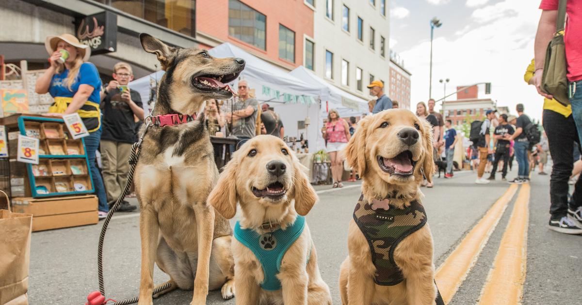 ‘The connection is everything to me’: Artists and art patrons build community through outdoor Bazaar art market