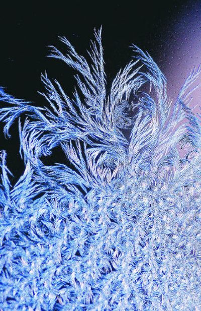 
Ice crystals form from condensation on a North Idaho window as temperatures dip to freezing in Hauser Lake, Idaho.  
 (Brian Plonka / The Spokesman-Review)