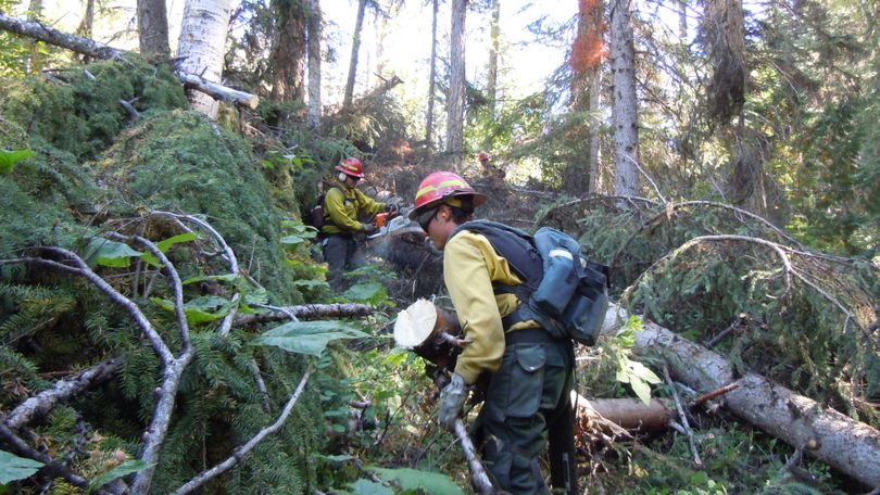 Forestry students from the Curlew Job Corps and other volunteers cleared an unbelievable tangle of blowdown trees to reopen 5.5 miles of the historic Big Lick Trail in the Kettle River Range in autumn 2012. (Kettle Range Conservation Group)