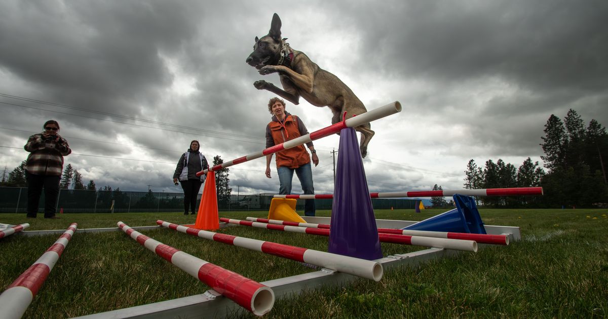 Local dog lovers find passion for French sport