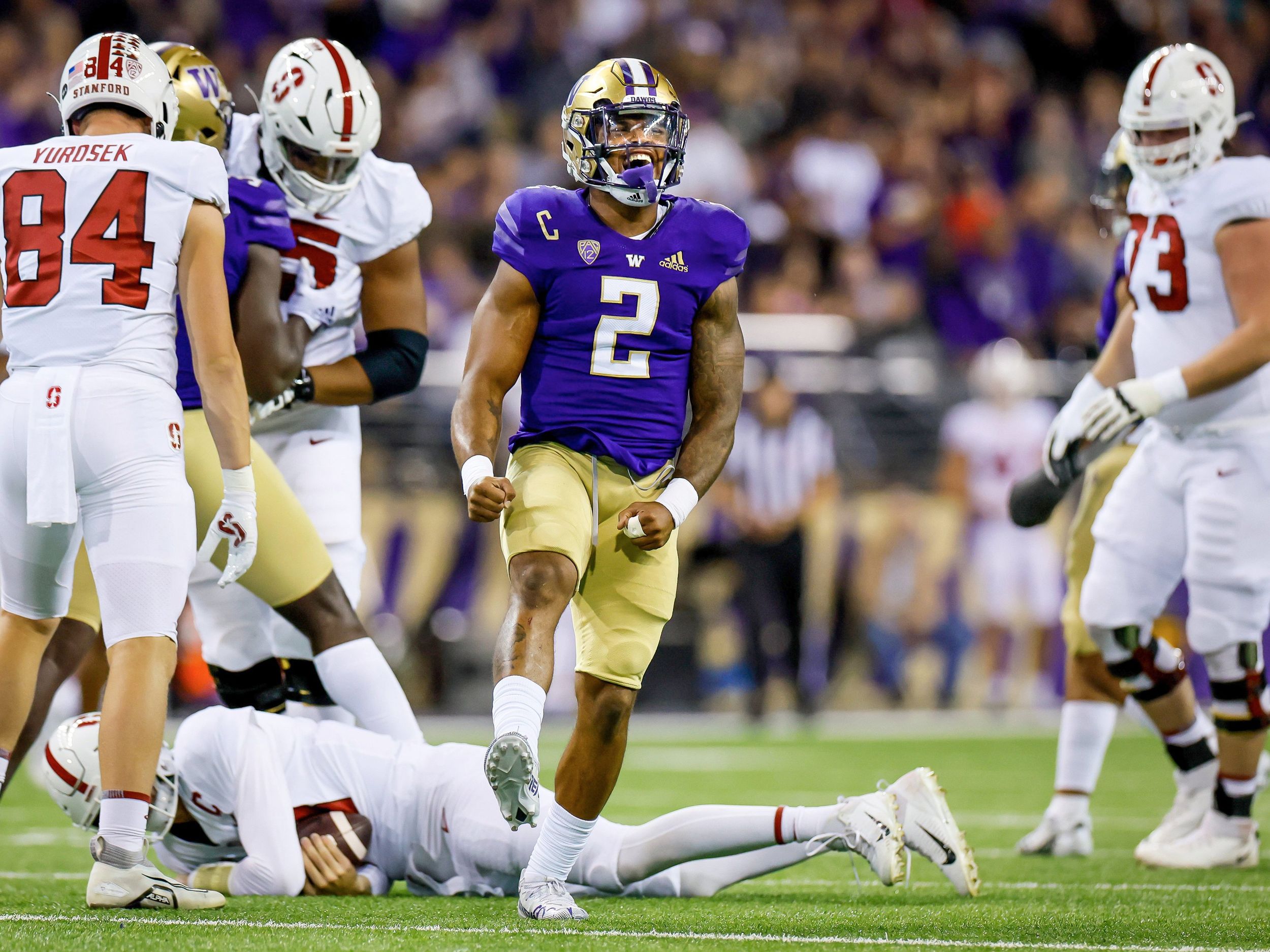 Washington Huskies Fanbase prepares for Blackout against Stanford