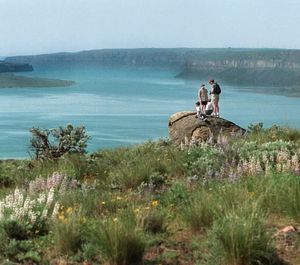 Trail around the 640-acre plateau on top of Steamboat Rock leads spring hikers into a wildflower world above Banks Lake and the scablands below. (FILE The Spokesman-Review)