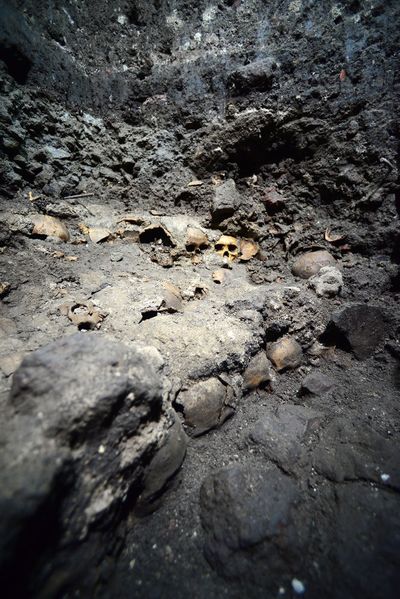 In this May 30 photo, skulls are partially unearthed at the Templo Mayor Aztec ruin site in Mexico City. (Associated Press)