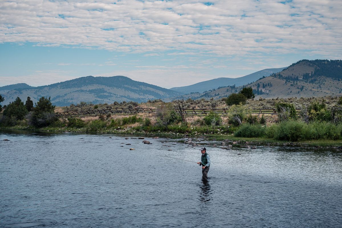 A fly fisher is seen Aug. 25 in the Big Hole River near Dewey, Montana, a state that is proud of avoiding hatchery-reared fish to stock its rivers. Warming waters and other factors along Montana’s rivers appear to be causing alarmingly low numbers of the state’s renowned rainbow and brown trout, and many of them are diseased.  (MATTHEW HAMON)