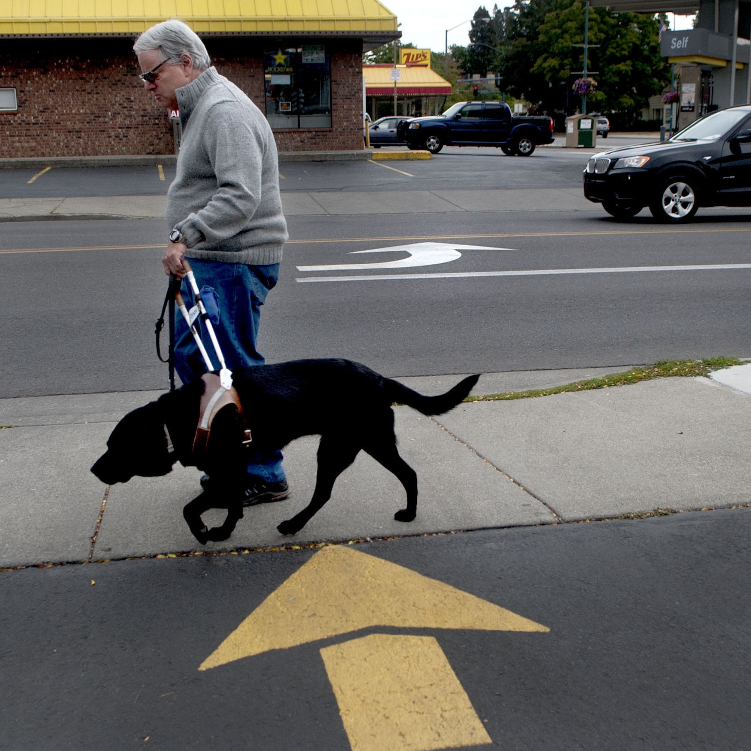 is the dog a service animal required because of a disability