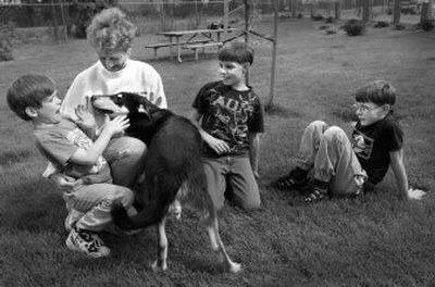 
Safety precautions are important if you have children and pets. 
 (File Photo / The Spokesman-Review)