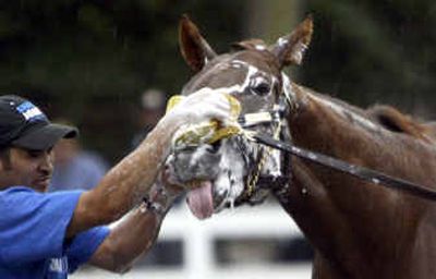 Kentucky Derby and Preakness winner Smarty Jones gets all cleaned up by groom Mario Arrigas on Thursday in anticipation for his big date today in the Belmont Stakes.
(Associated Press / The Spokesman-Review)