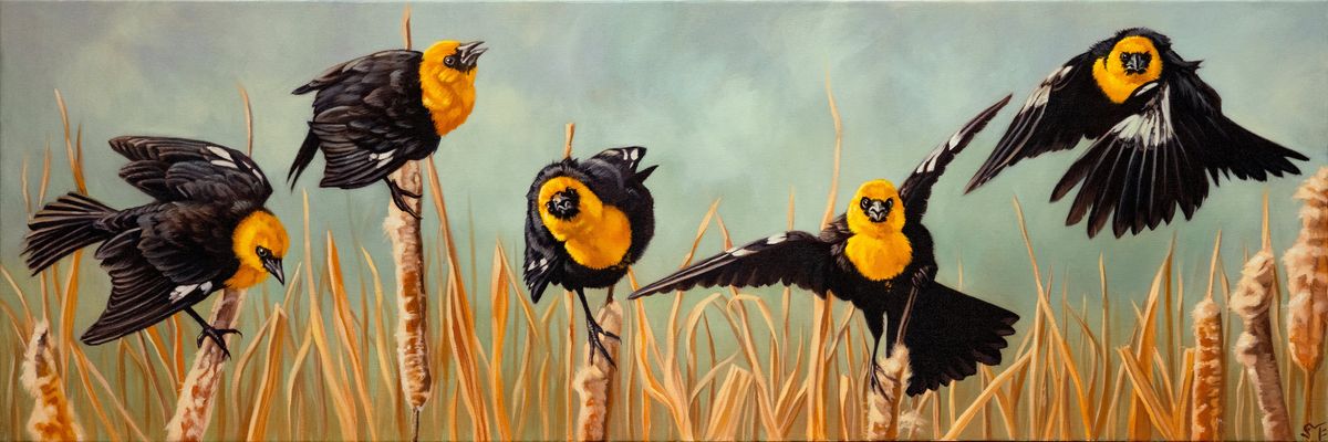 Sheila Evans uses photos she takes while birding as reference for her paintings, including “The Lemonheads,” oil on canvas. 